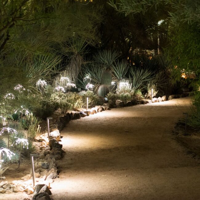 pathway lights